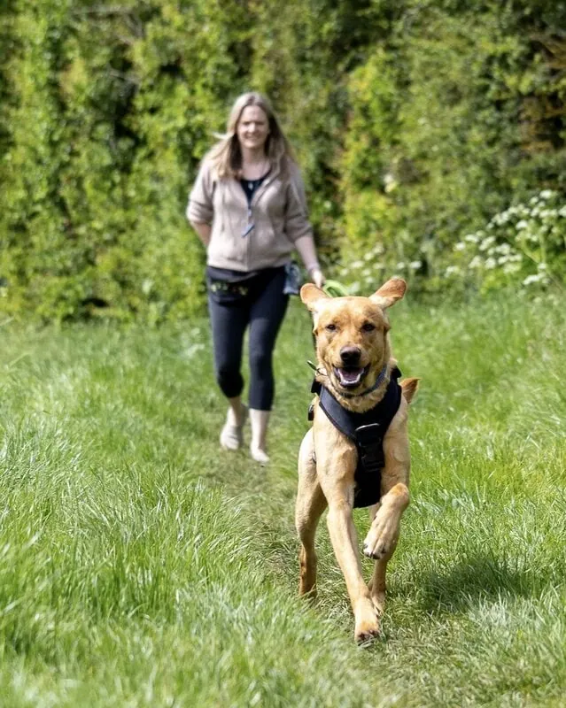 28 Rhys Max FD Final 05 (1)