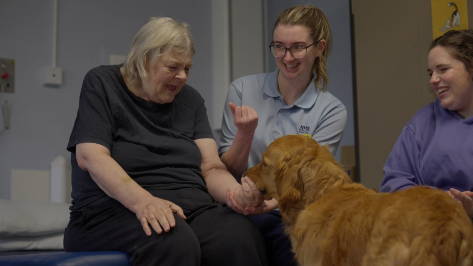 Stroke Patient Recovery Golden Retriever Hospital Worker