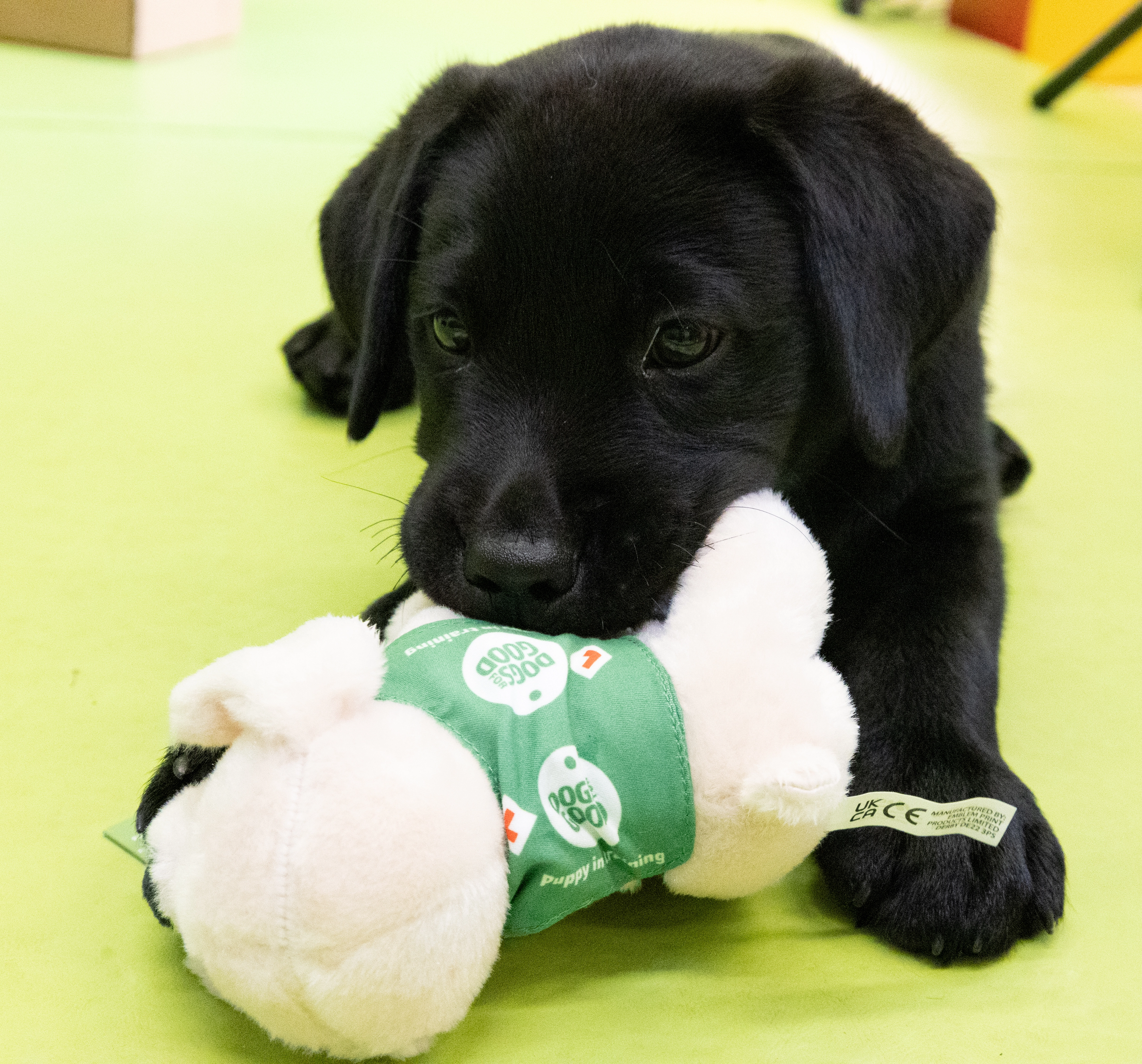 Digger With SAP Toy 2