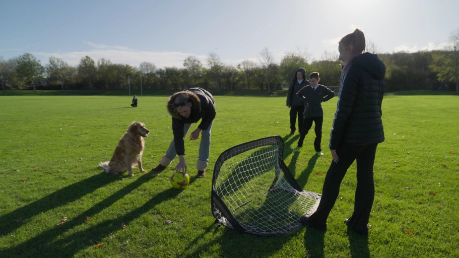 Georgie Golden Retriever Playing Field Outside School Football