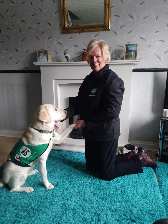 Puppy+Nancy+Giving+Paw+To+Volunteer+Socialiser+Debbie+In+Living+Room