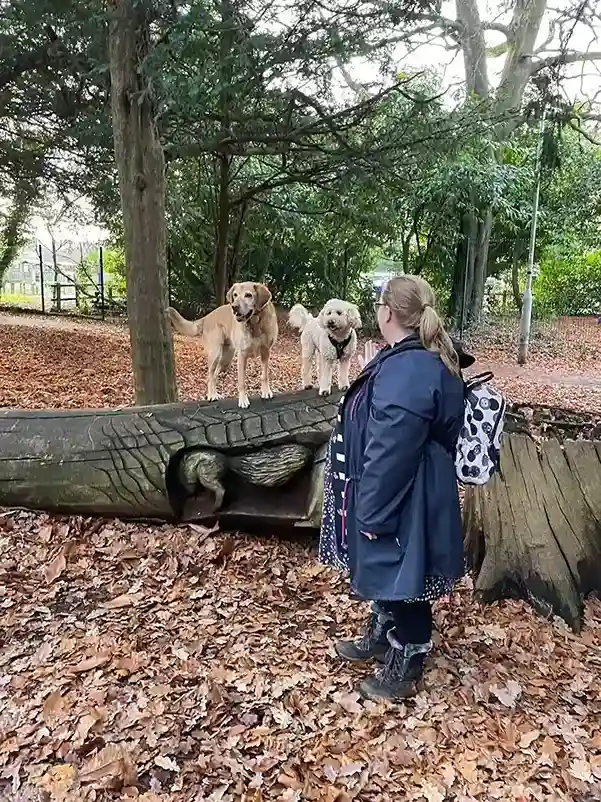 Emma, Chewie And Community Dog Lexi Playing A Game In The Park
