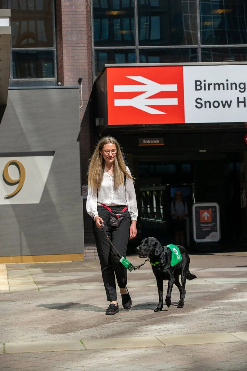 Physical Disability Assistance Black Labrador Walking Adult Outside Entrance Train Station Closeup Frontfacing