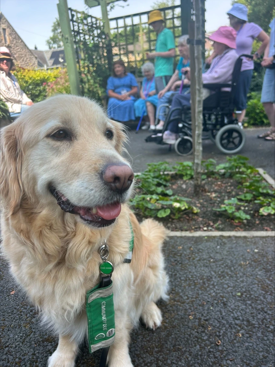 Community Dog Sandy sitting in garden outside with members of Dementia Friendly Dunblane sitting and talking behind her
