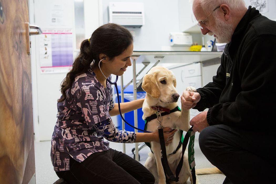 Good Advice Vet Visit