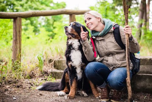 A dog hiking with its owner