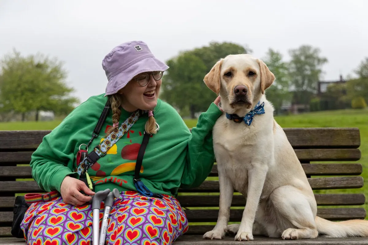 Physical Disability Assistance Yellow Labrador Sitting Adult Stroking Park Bench Frontfacing