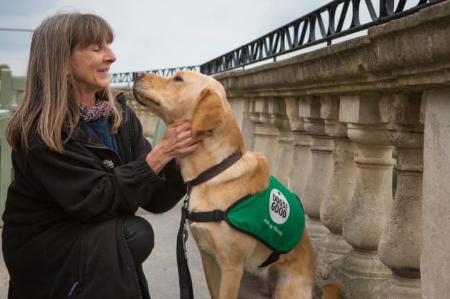 Volunteer puppy socialiser with growing pup