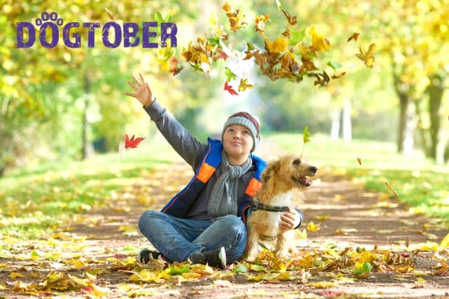 boy with dog in autumn woodland