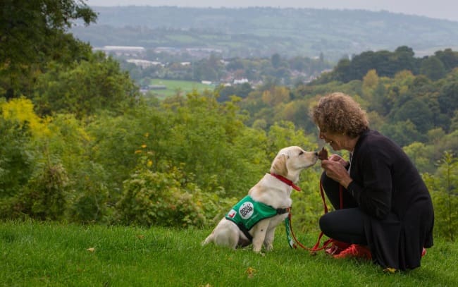 Volunteer walking in the countryside with a young puppy